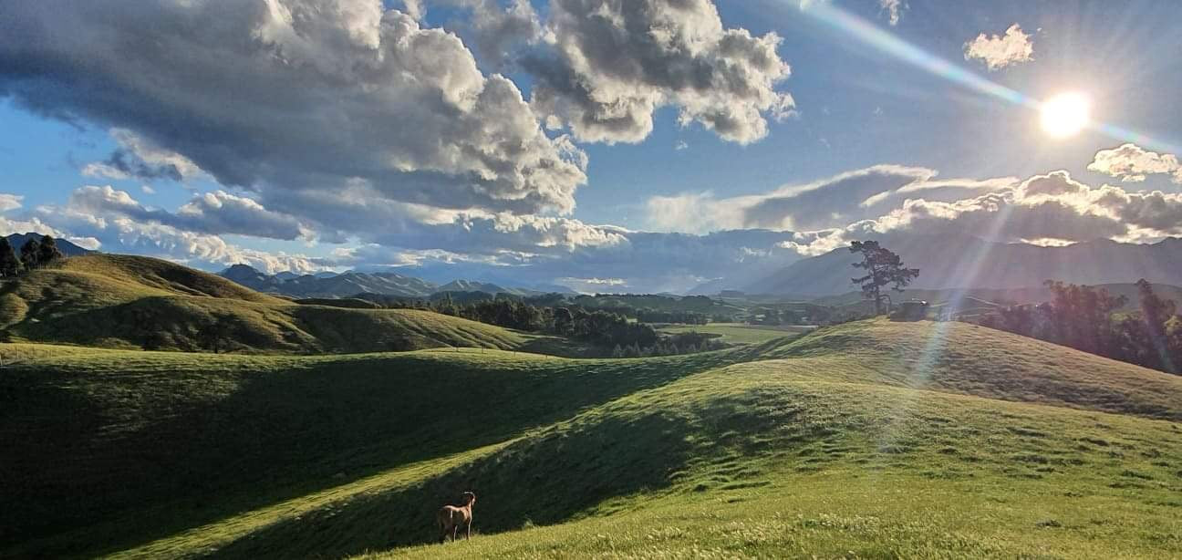 Mt Tapi